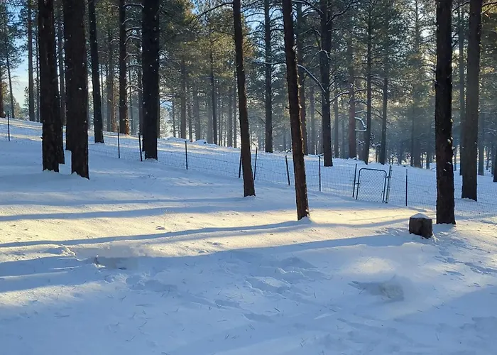 Close To Williams, Flagstaff, Grand Canyon And Sedona