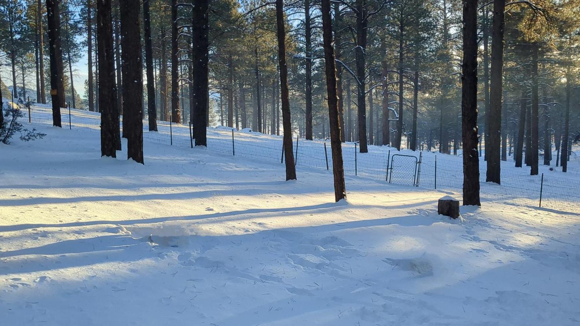 Close To Williams, Flagstaff, Grand Canyon And Sedona Holiday home Williams
