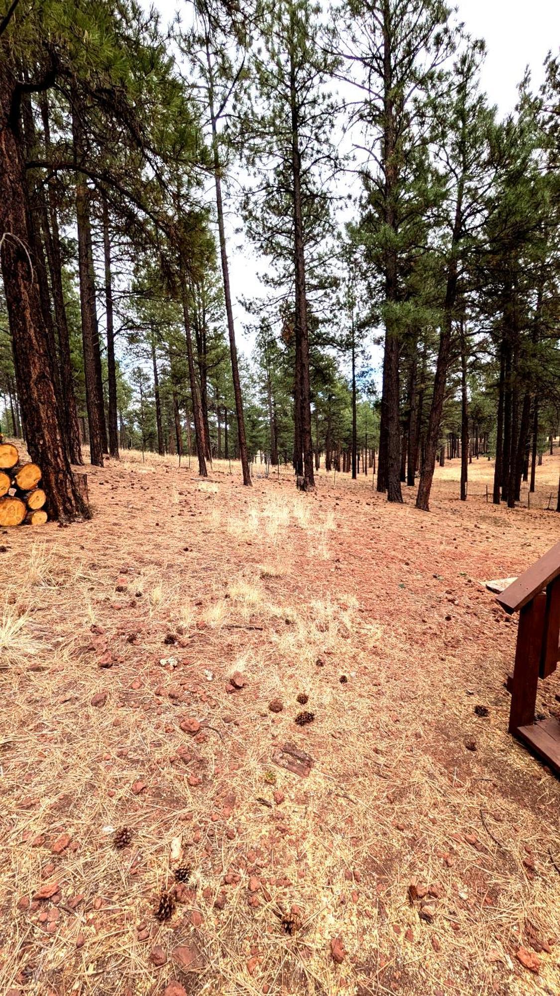Close To Williams, Flagstaff, Grand Canyon And Sedona Ferienhaus Williams