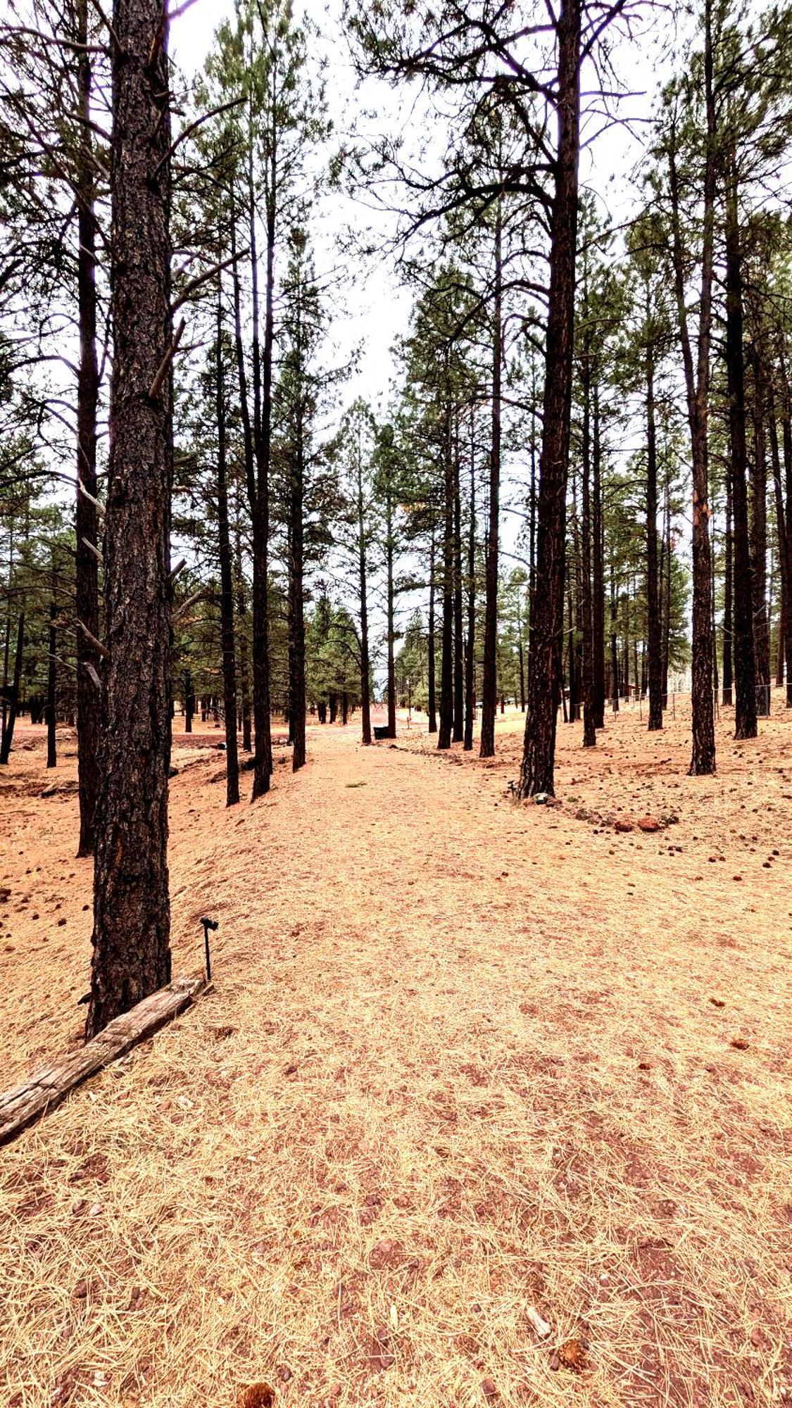 Holiday home Close To Williams, Flagstaff, Grand Canyon And Sedona Williams