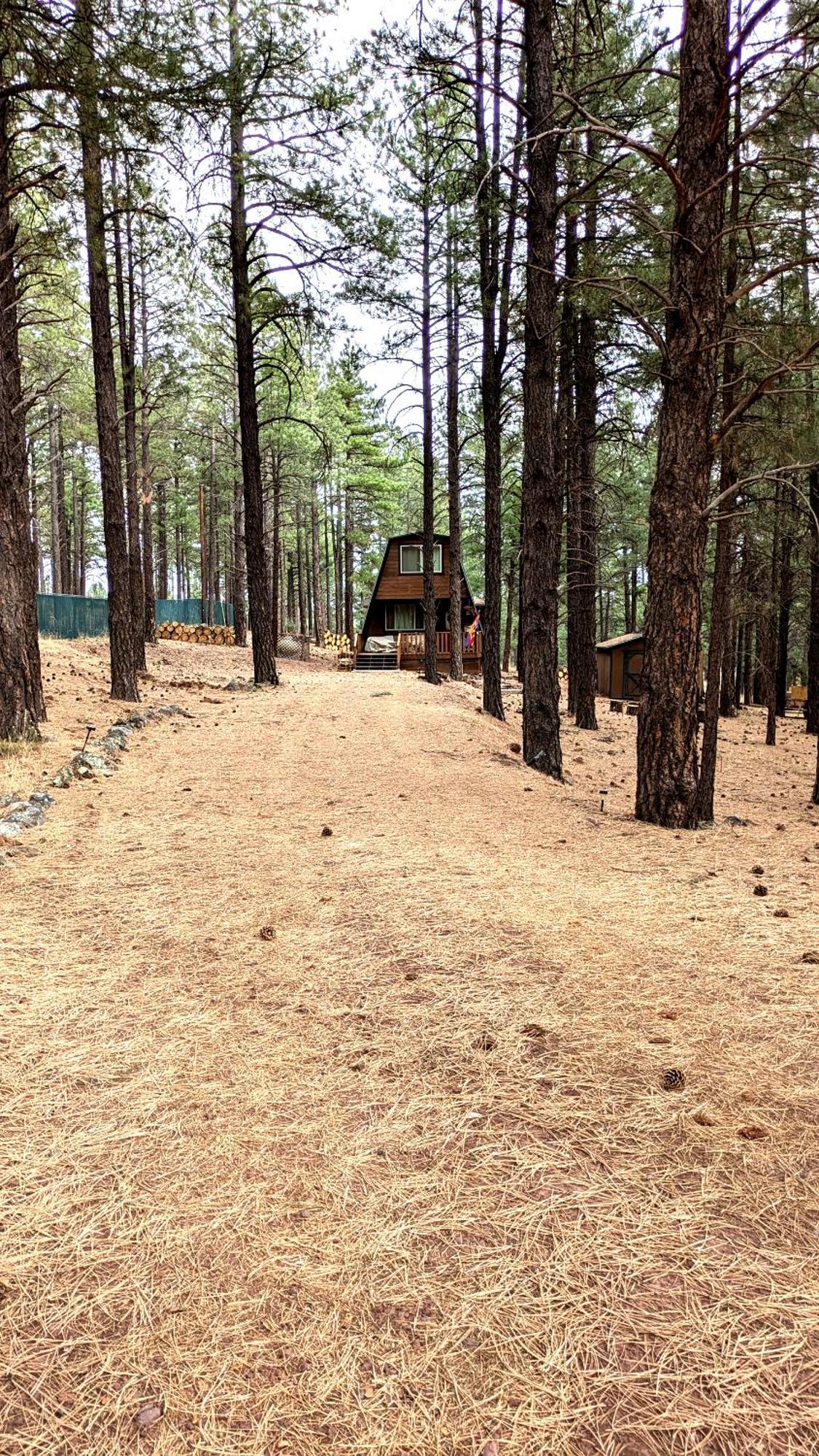 Close To Williams, Flagstaff, Grand Canyon And Sedona *